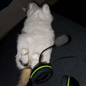 Meet your Posher, Jeremy